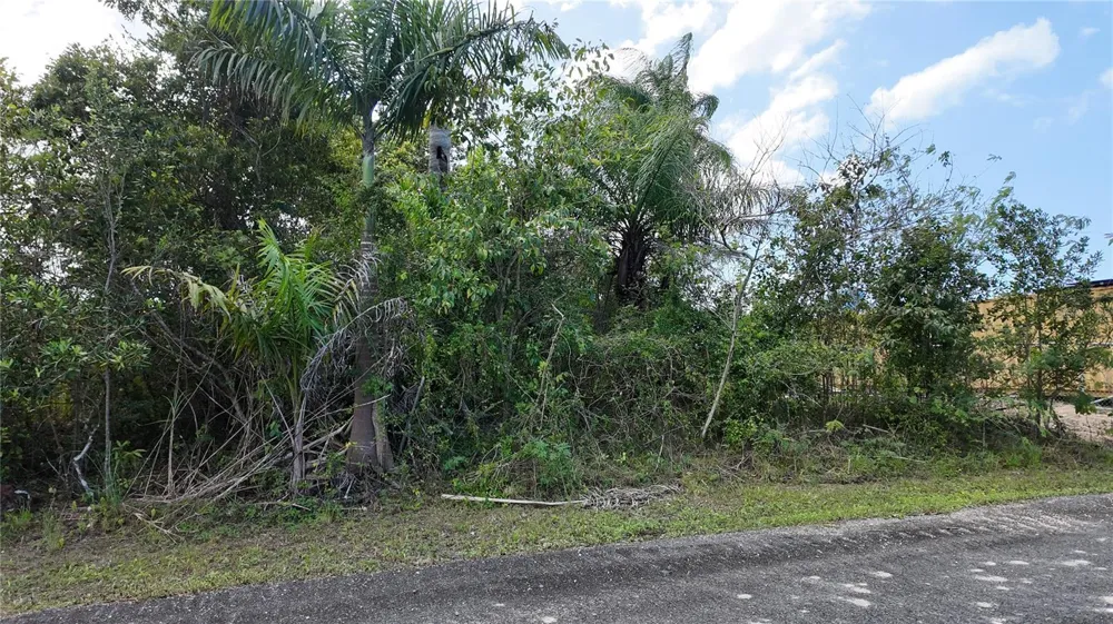 URB. HACIENDAS DEL DORADO CALLE MAGA #80 Toa Alta, PR 00953