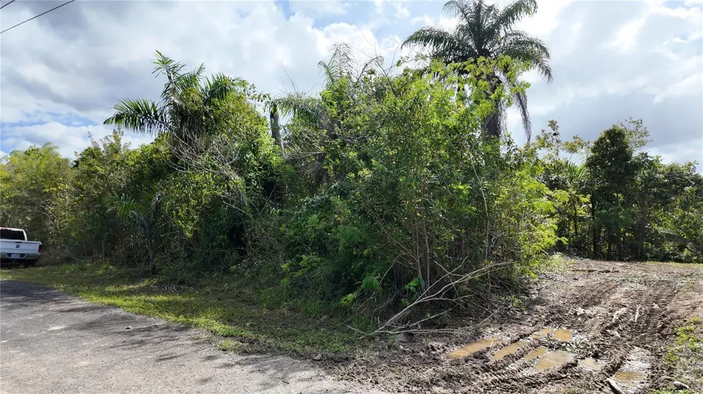 URB. HACIENDAS DEL DORADO CALLE MAGA #80 Toa Alta, PR 00953