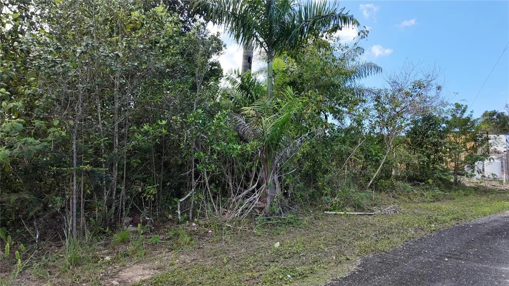 URB. HACIENDAS DEL DORADO CALLE MAGA #80 Toa Alta, PR 00953
