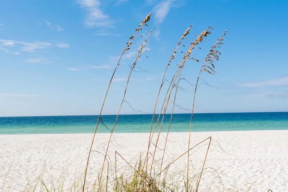2312 GULF DRIVE #103 Bradenton Beach, FL 34217
