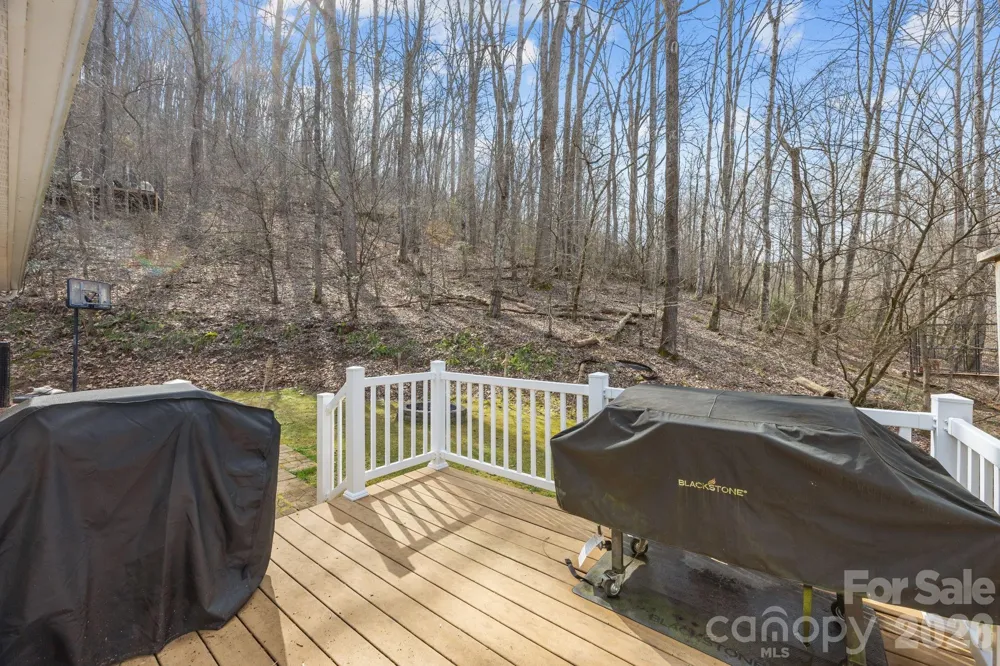 400 Honey Locust Trail Whittier, NC 28789