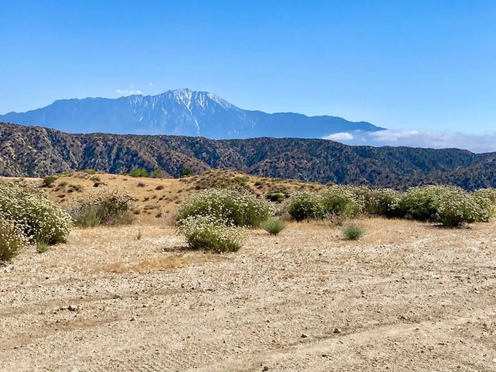 102 Matzene Drive Morongo Valley, CA 92256