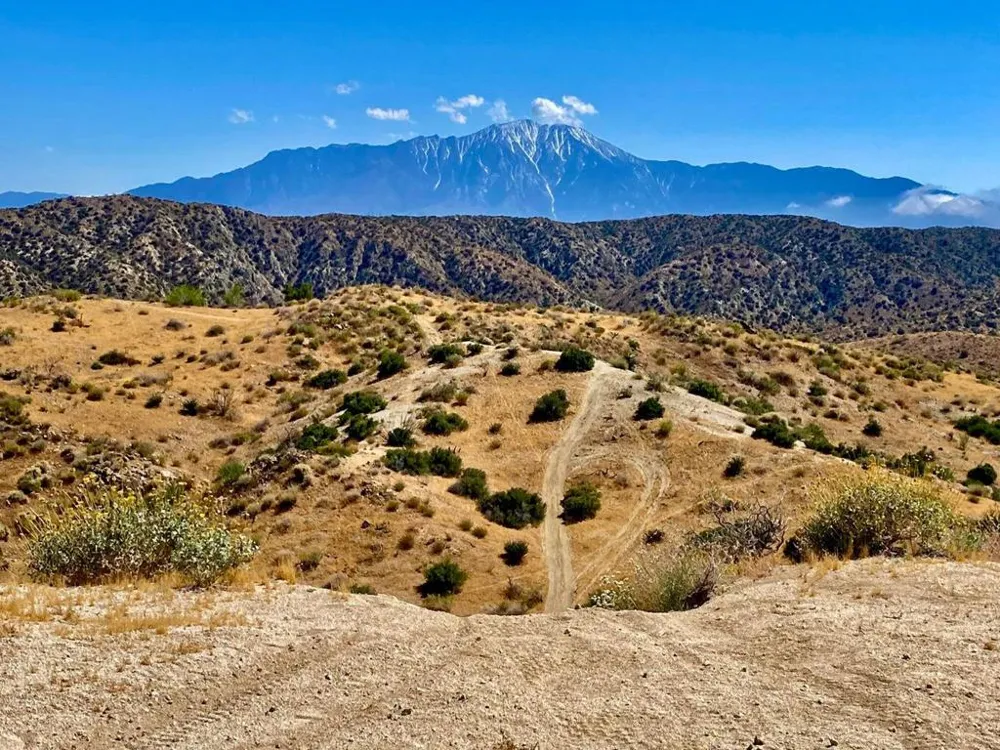 102 Matzene Drive Morongo Valley, CA 92256