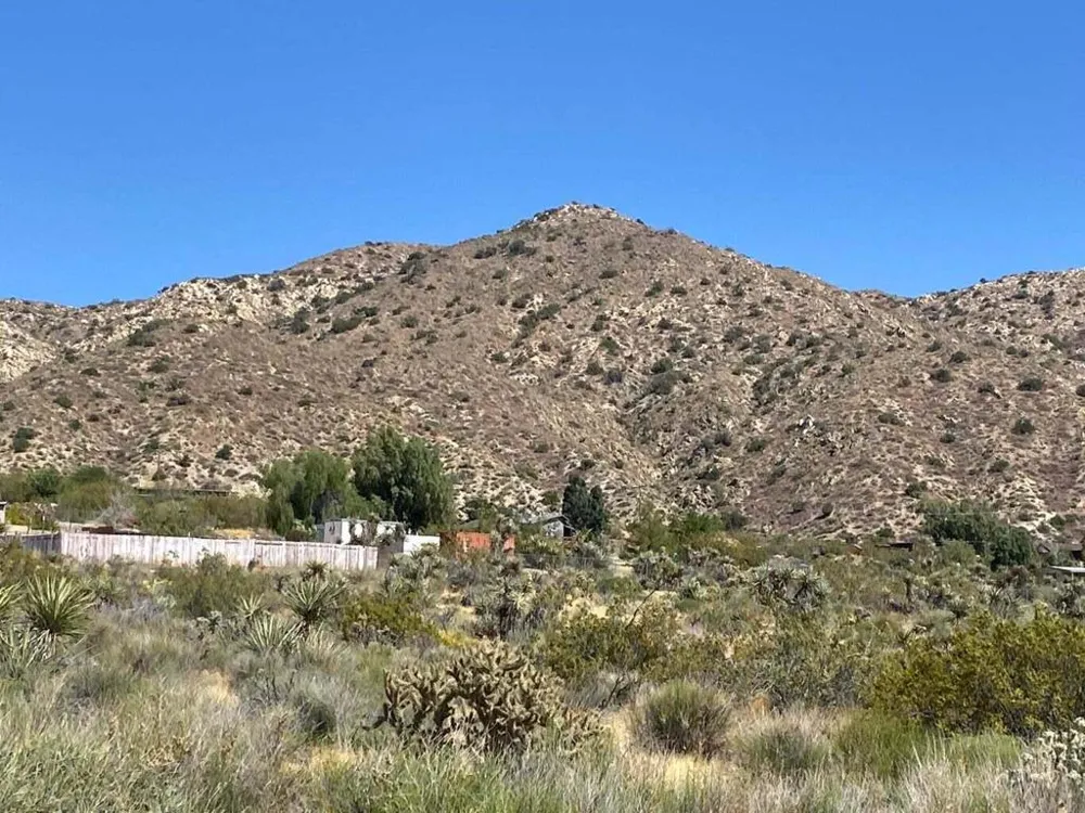 102 Matzene Drive Morongo Valley, CA 92256