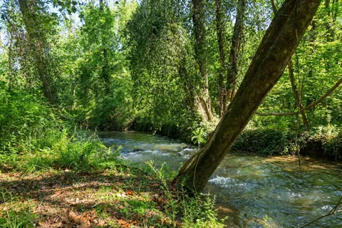 1282 Riverbank Ridge