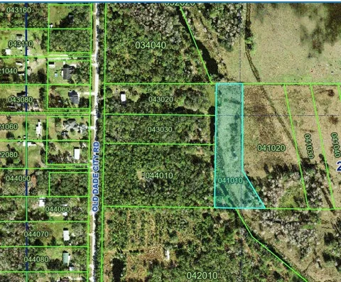 OLD DADE CITY ROAD