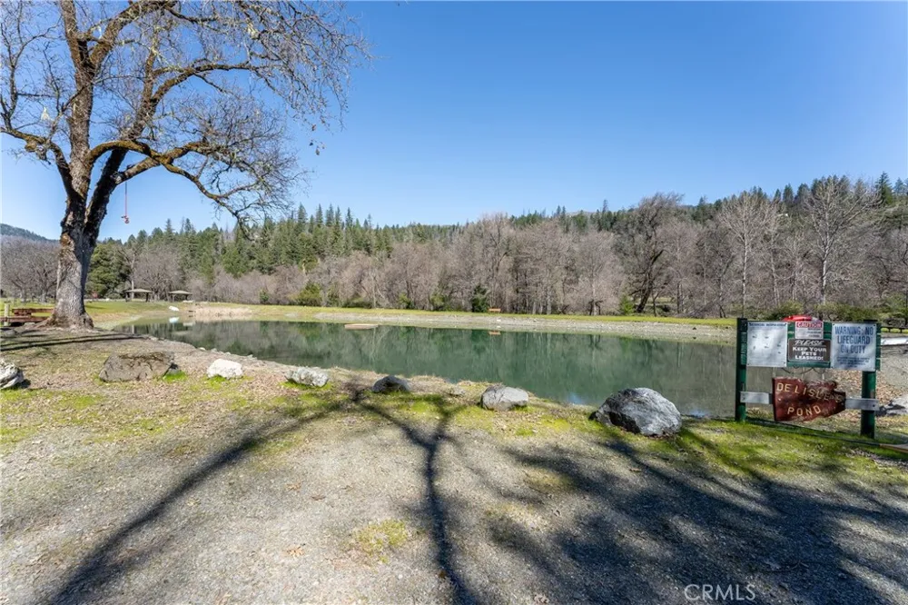 30429 Ridgewood Drive Other, CA 95469