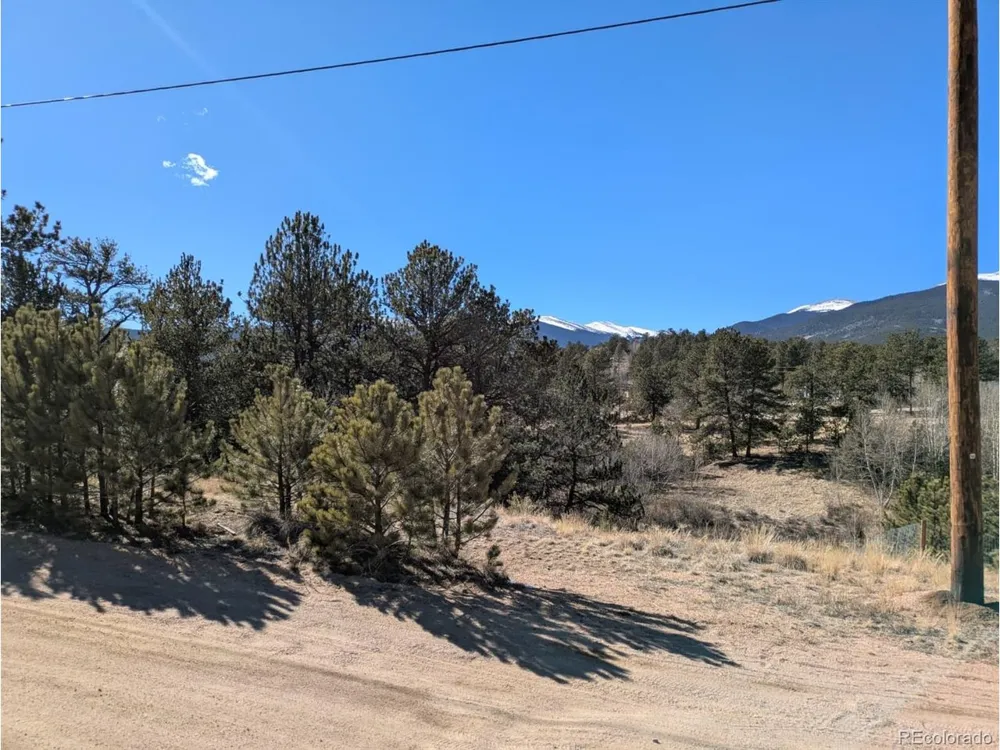 261 Appleby Street Bailey, CO 80421