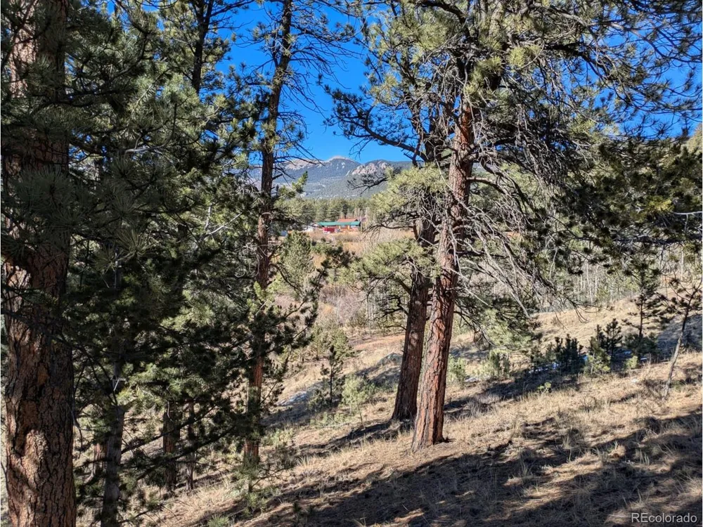 261 Appleby Street Bailey, CO 80421
