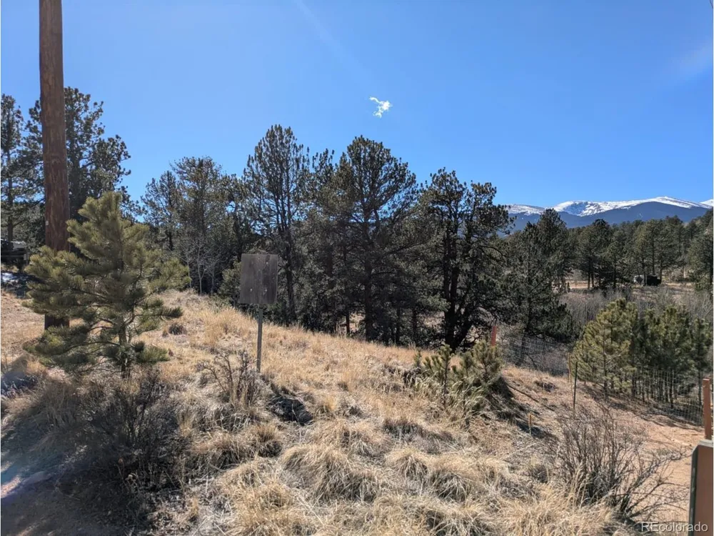 261 Appleby Street Bailey, CO 80421
