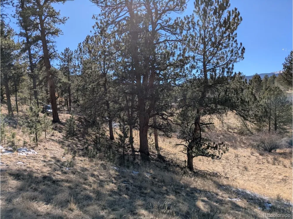 261 Appleby Street Bailey, CO 80421