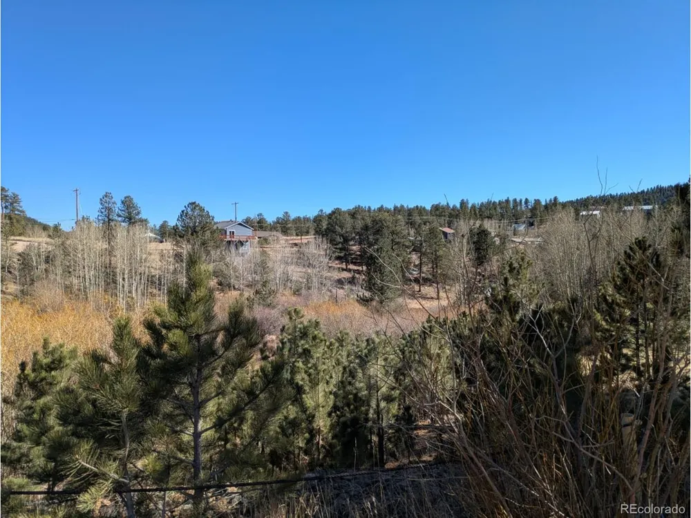 261 Appleby Street Bailey, CO 80421