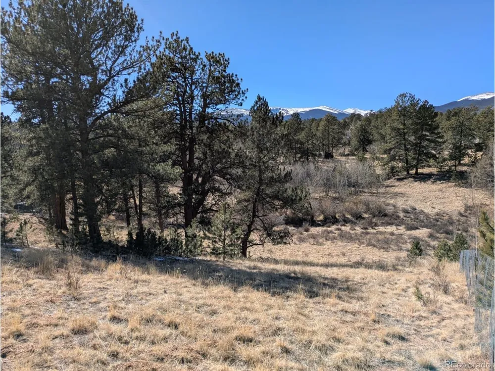 261 Appleby Street Bailey, CO 80421