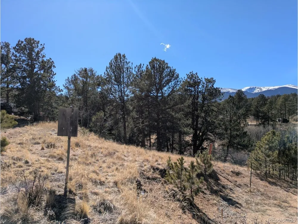 261 Appleby Street Bailey, CO 80421