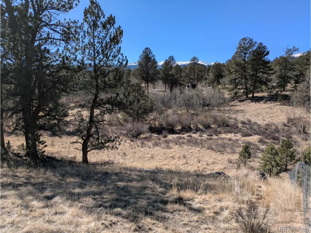 261 Appleby Street Bailey, CO 80421