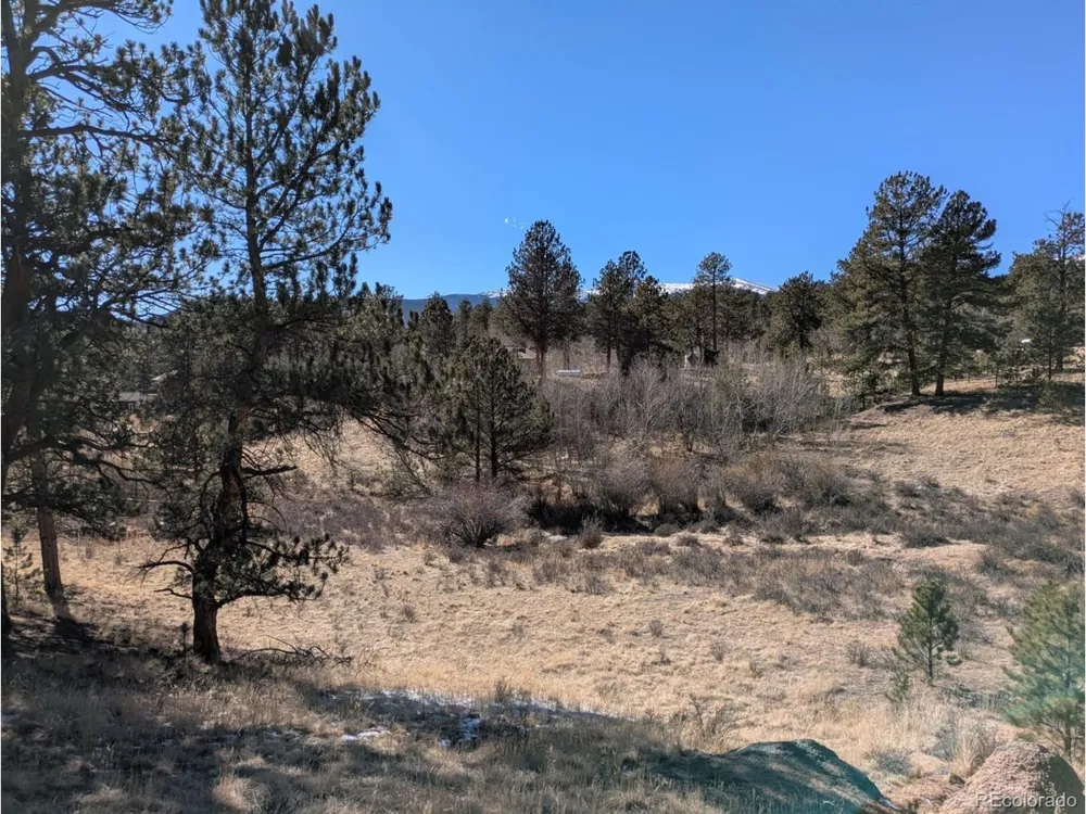 261 Appleby Street Bailey, CO 80421