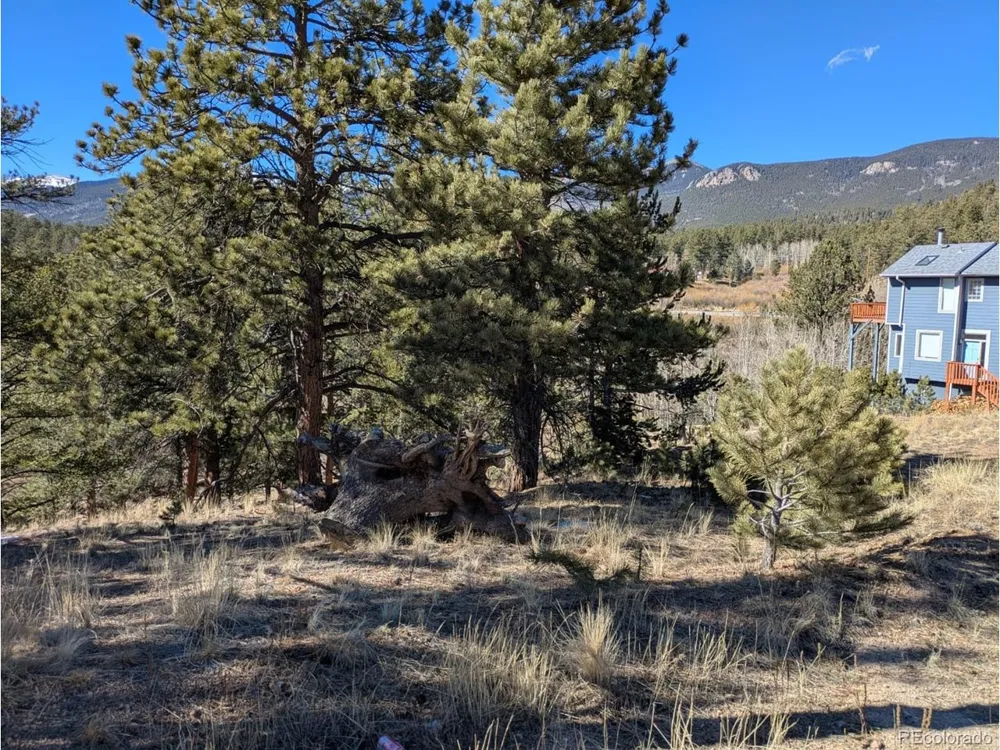 261 Appleby Street Bailey, CO 80421