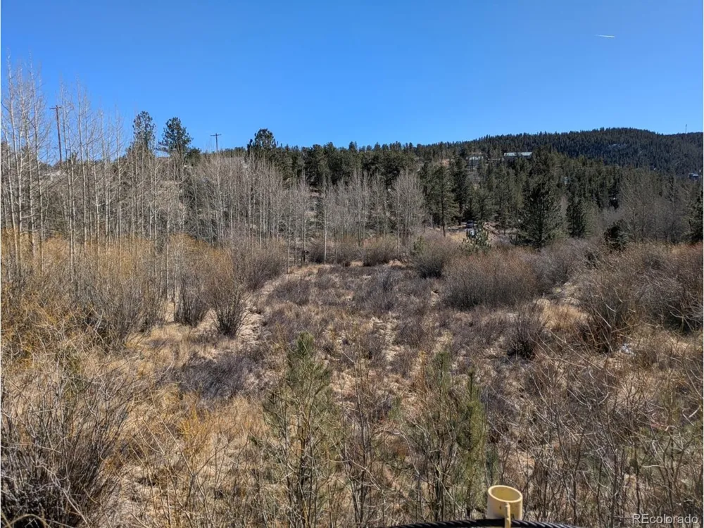 261 Appleby Street Bailey, CO 80421