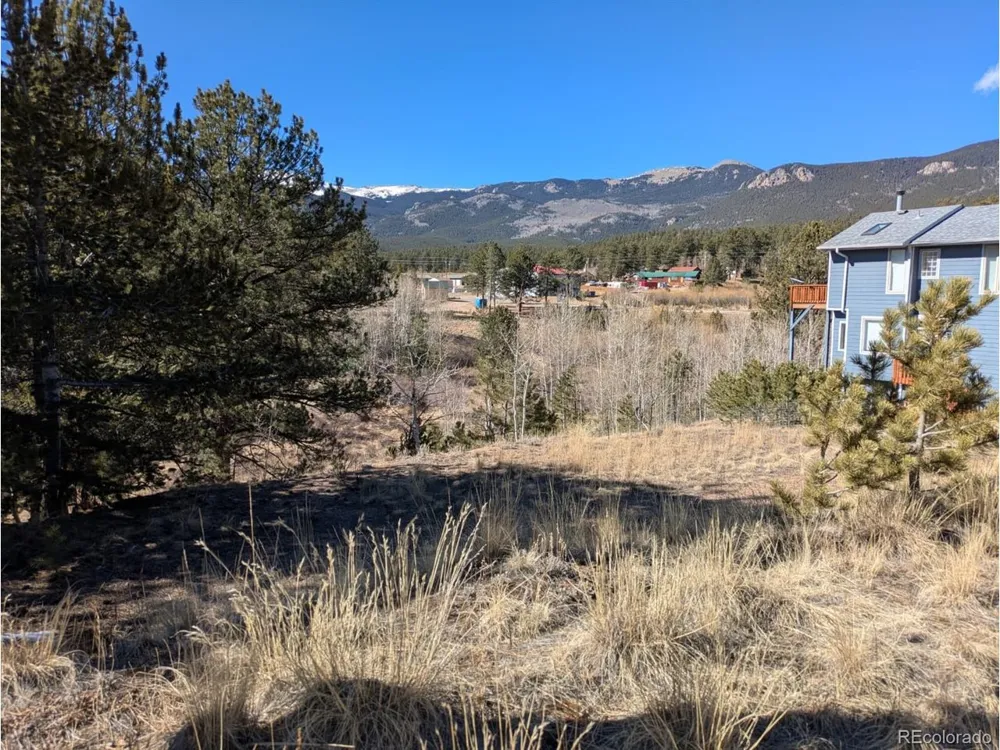 261 Appleby Street Bailey, CO 80421