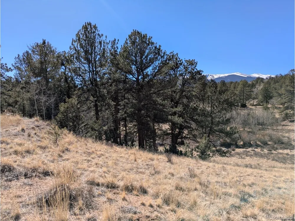 261 Appleby Street Bailey, CO 80421