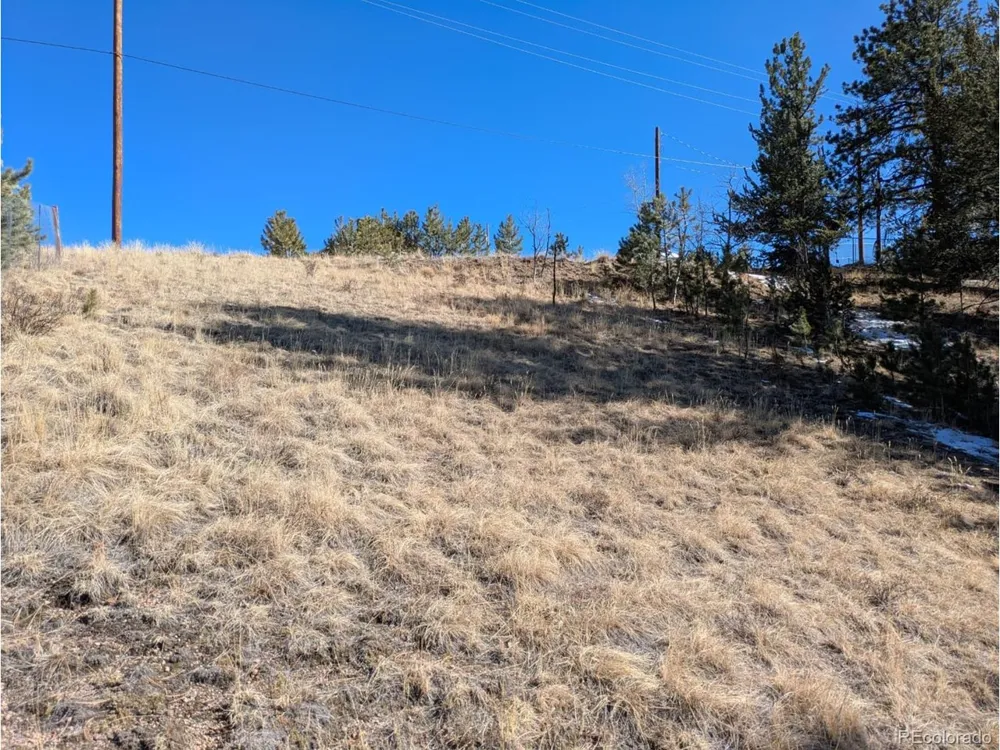 261 Appleby Street Bailey, CO 80421