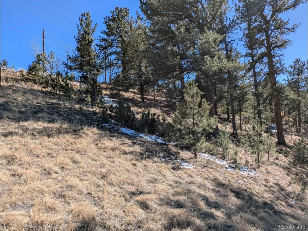 261 Appleby Street Bailey, CO 80421