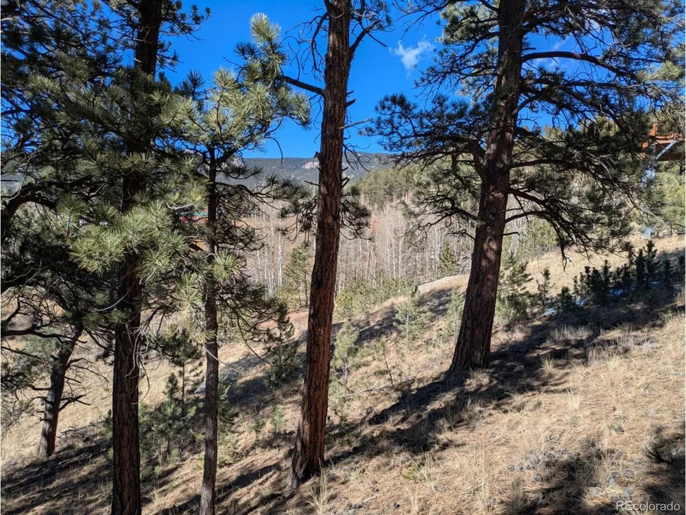 261 Appleby Street Bailey, CO 80421