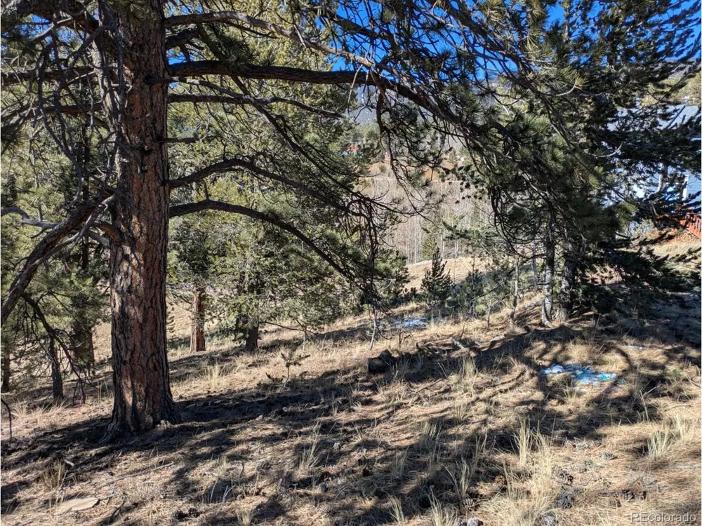 261 Appleby Street Bailey, CO 80421