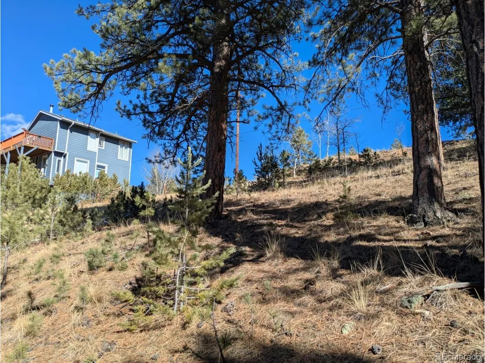 261 Appleby Street Bailey, CO 80421