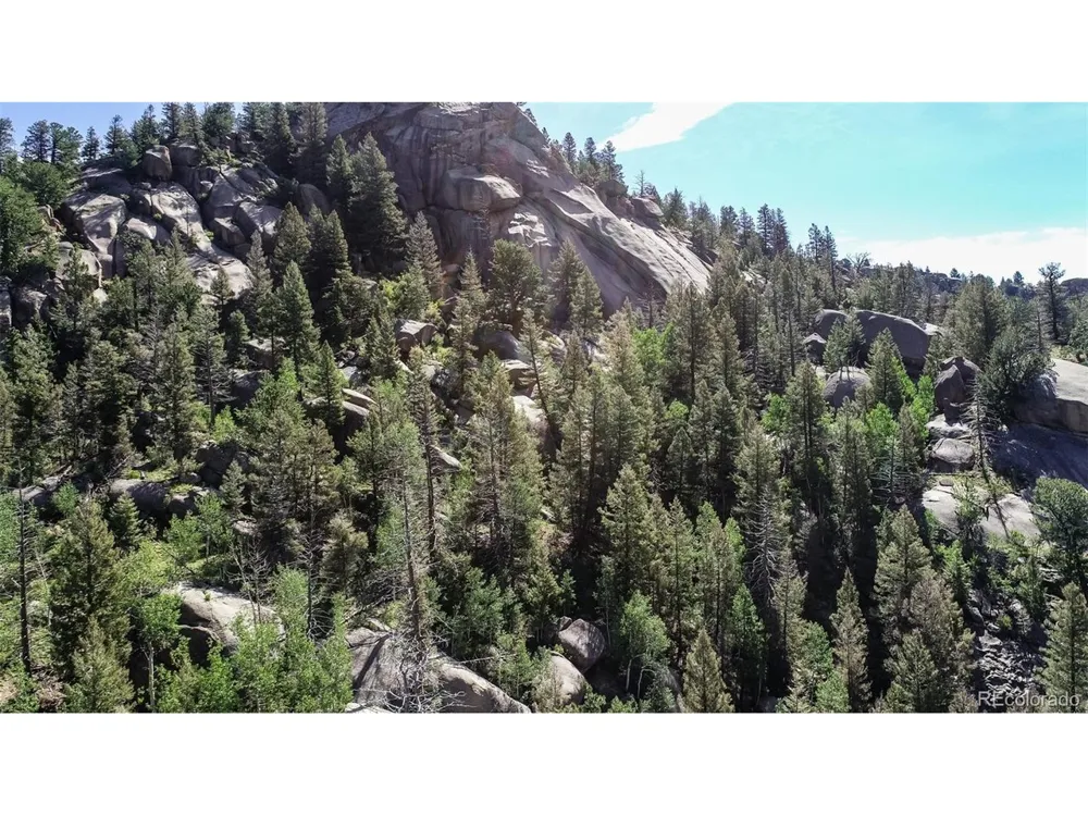 235 Hay Creek Road Florissant, CO 80816