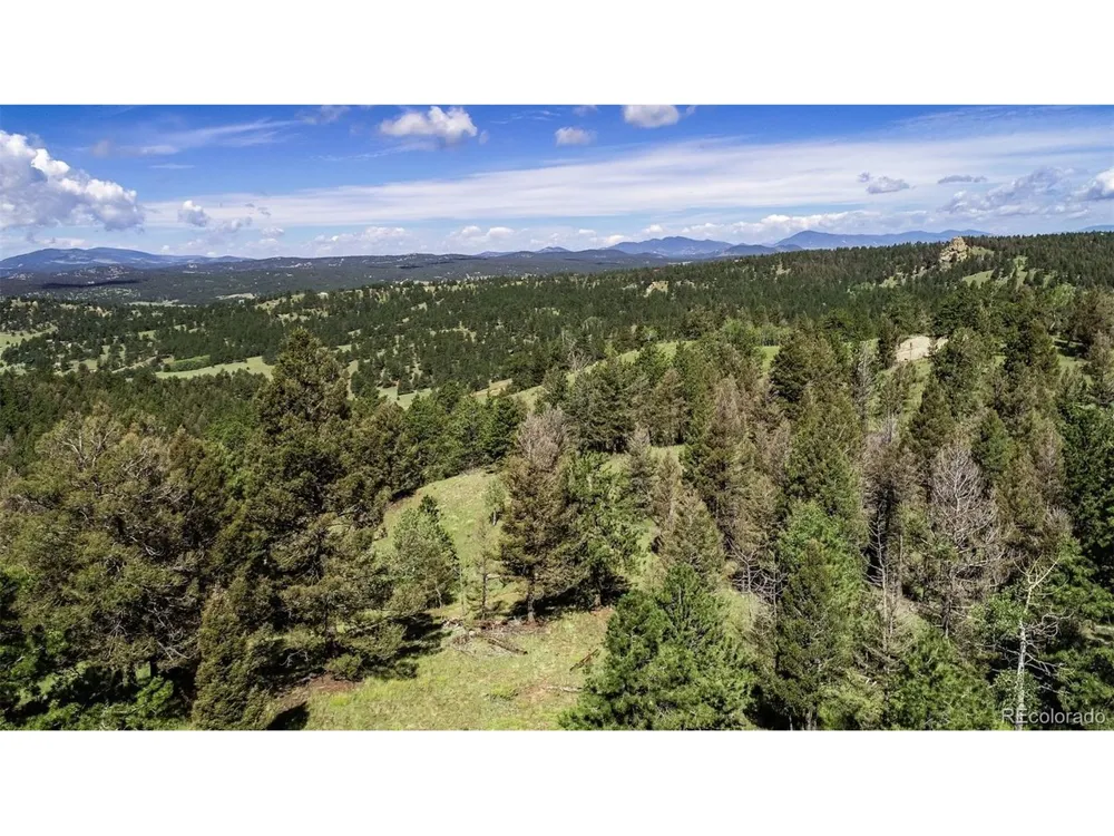 235 Hay Creek Road Florissant, CO 80816