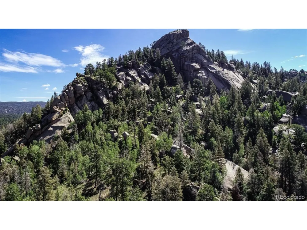 235 Hay Creek Road Florissant, CO 80816