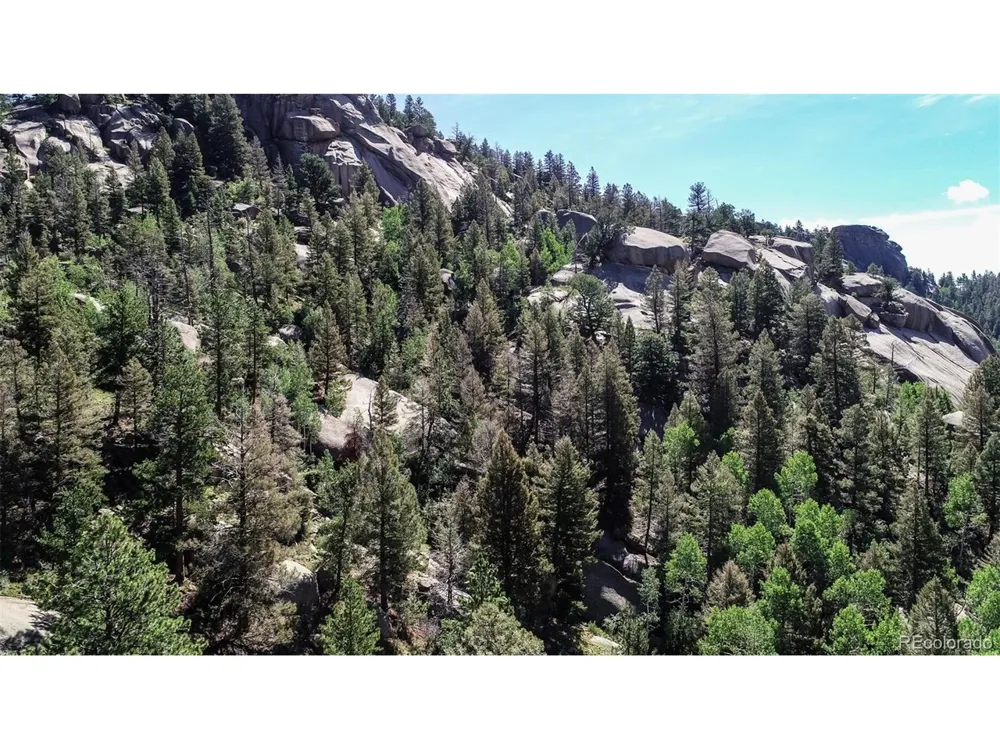 235 Hay Creek Road Florissant, CO 80816