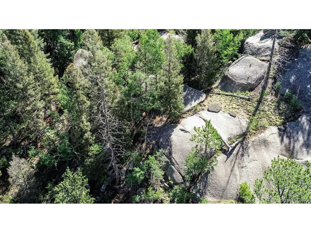235 Hay Creek Road Florissant, CO 80816