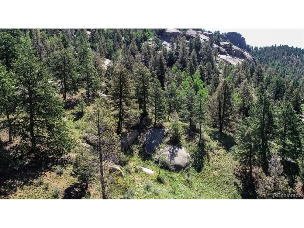 235 Hay Creek Road Florissant, CO 80816