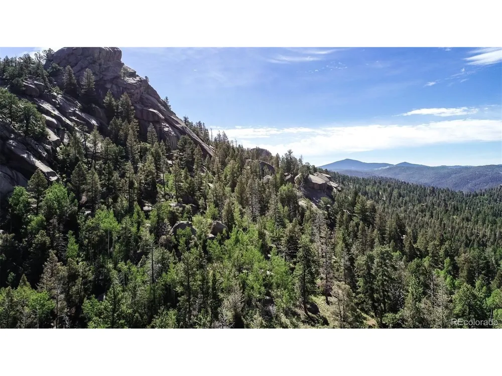 235 Hay Creek Road Florissant, CO 80816