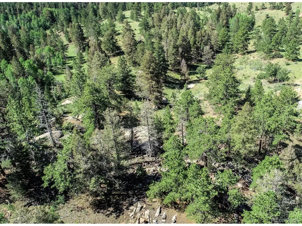 235 Hay Creek Road Florissant, CO 80816
