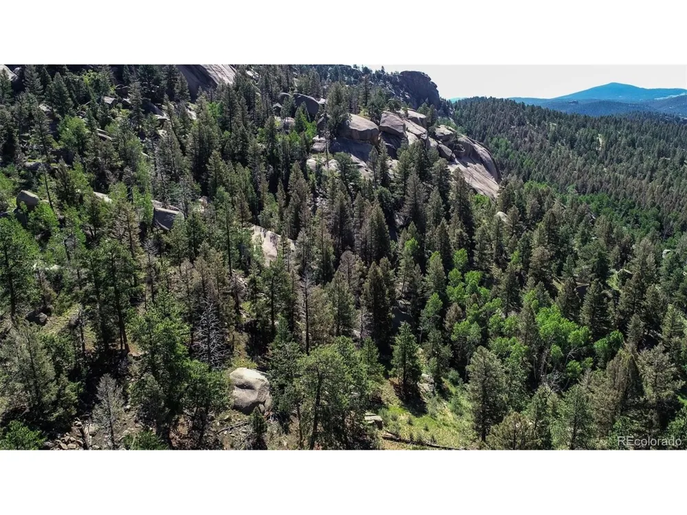 235 Hay Creek Road Florissant, CO 80816