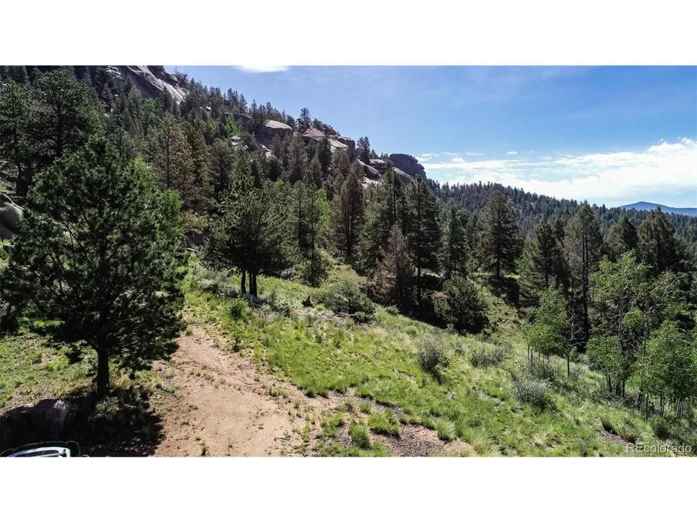 235 Hay Creek Road Florissant, CO 80816
