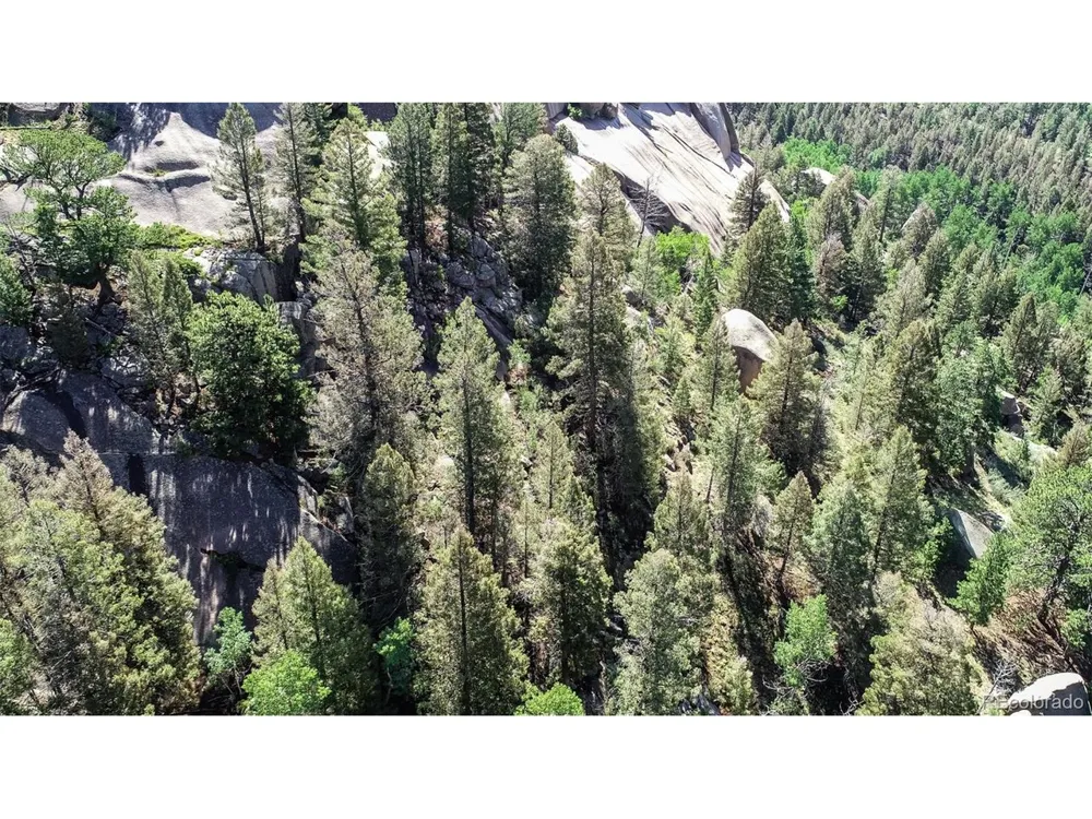 235 Hay Creek Road Florissant, CO 80816