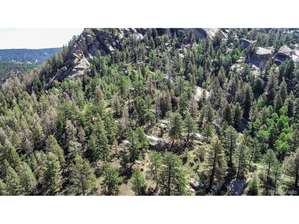 235 Hay Creek Road Florissant, CO 80816