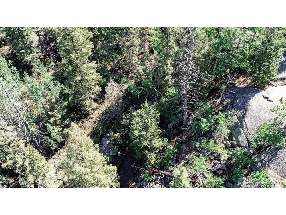235 Hay Creek Road Florissant, CO 80816
