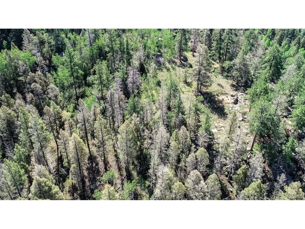 235 Hay Creek Road Florissant, CO 80816