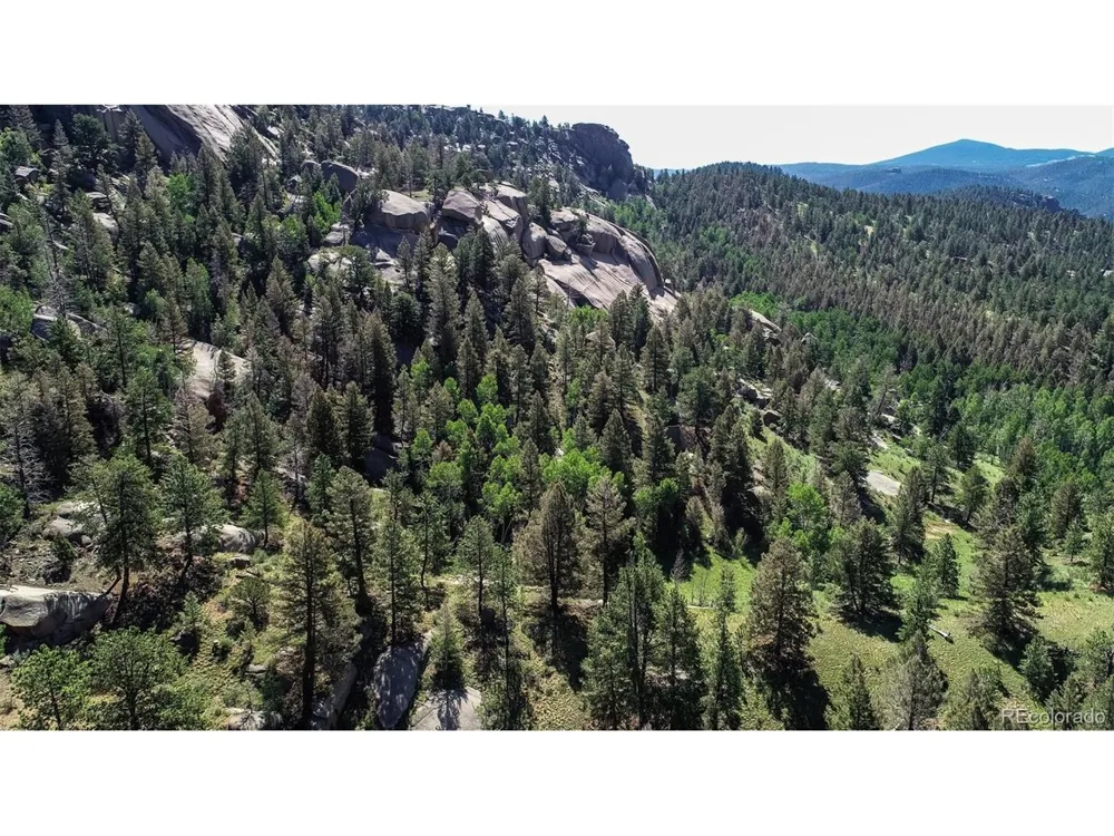 235 Hay Creek Road Florissant, CO 80816