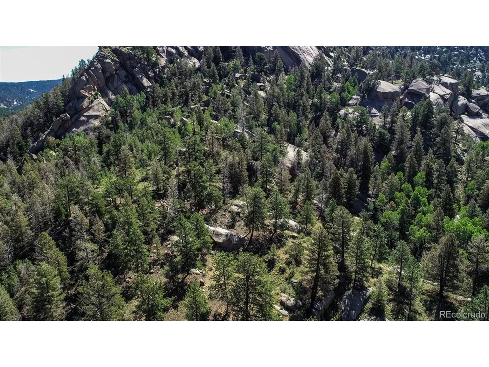 235 Hay Creek Road Florissant, CO 80816