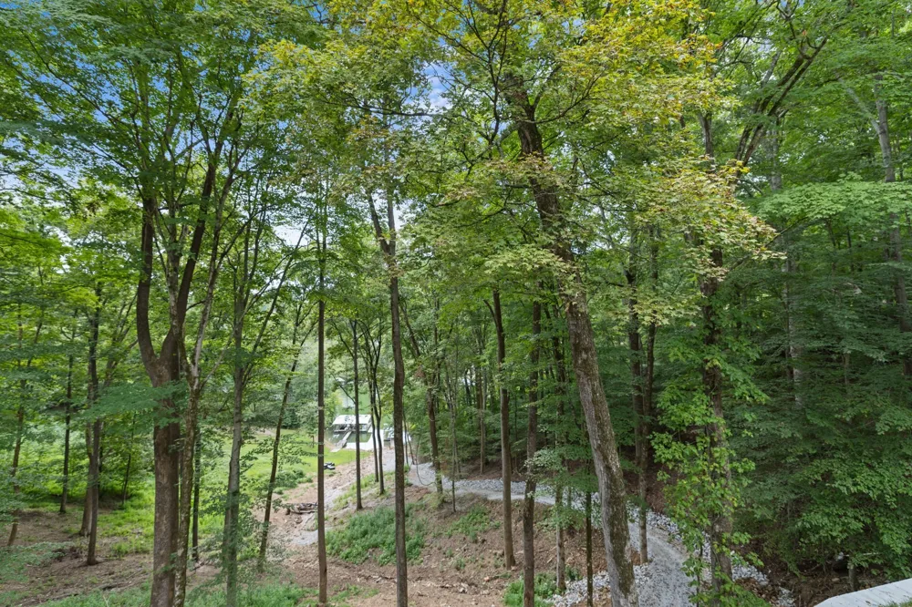 1530 Ridgeview Run Lynchburg, TN 37352