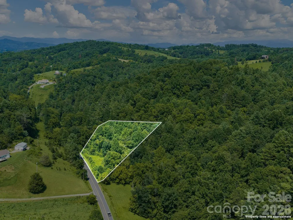 99999 Baileys Branch Road Marshall, NC 28753
