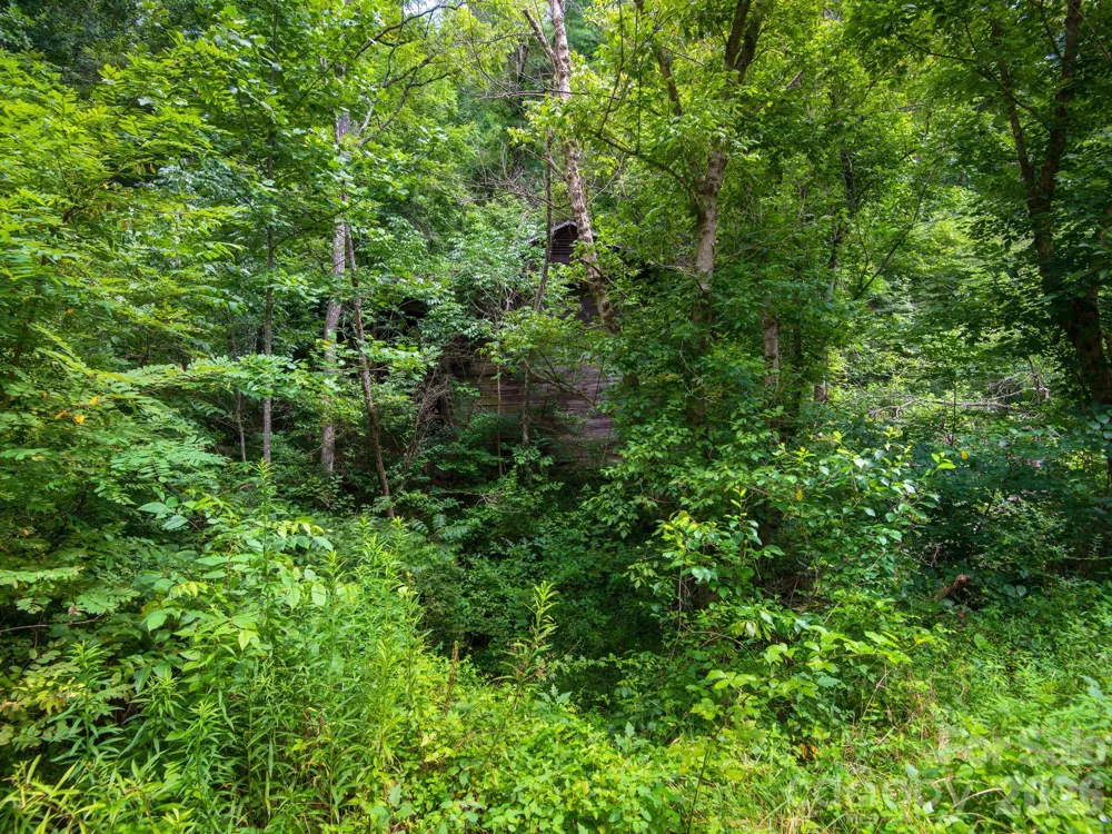 99999 Baileys Branch Road Marshall, NC 28753