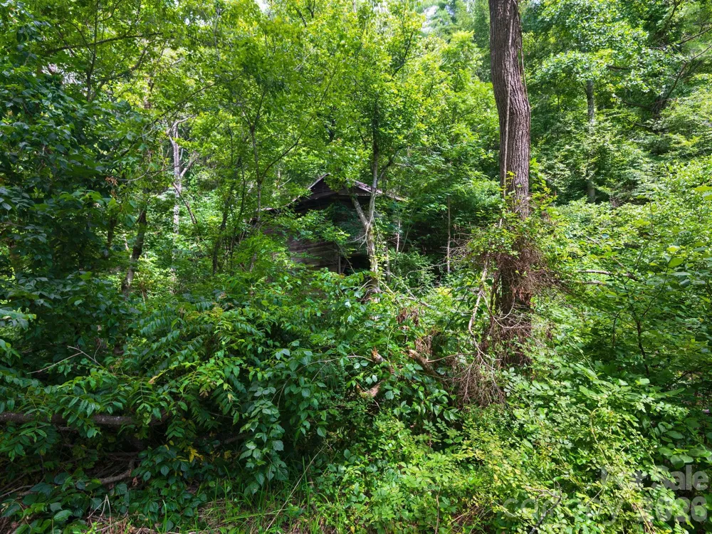 99999 Baileys Branch Road Marshall, NC 28753