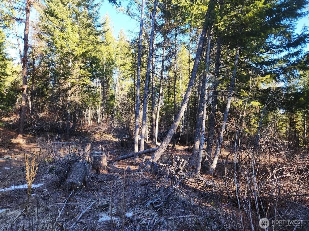 318 Rockabye Lane Curlew, WA 99118